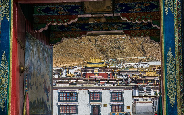 拼多多补单软件