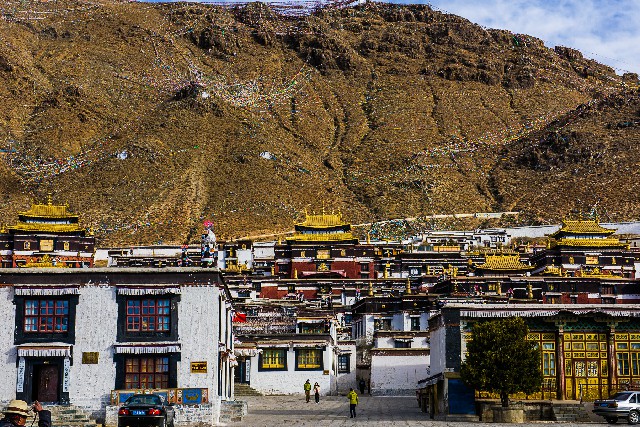 拼多多补单软件