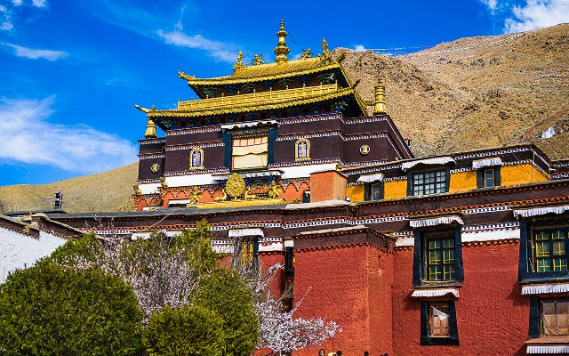 拼多多补单软件