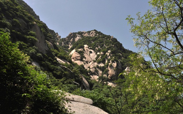 拼多多补单软件