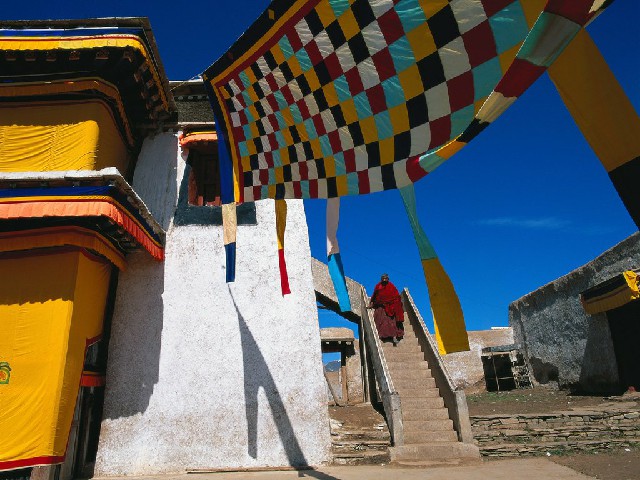 拼多多补单软件