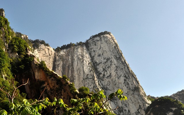 拼多多补单软件