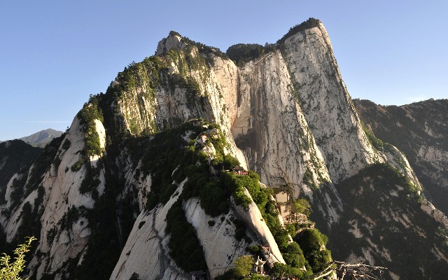 拼多多补单软件