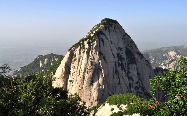 拼多多补单软件