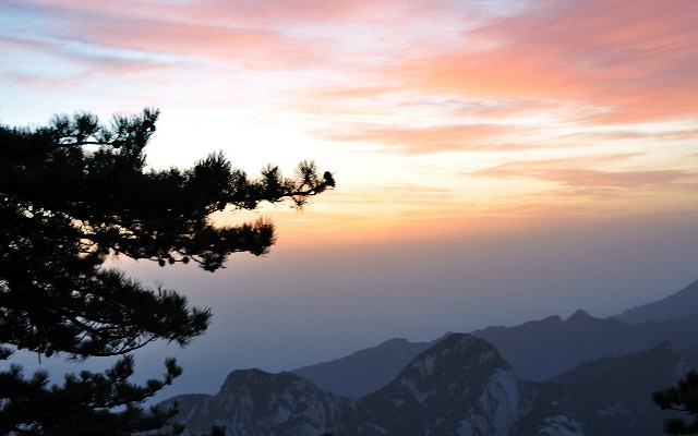 拼多多补单软件