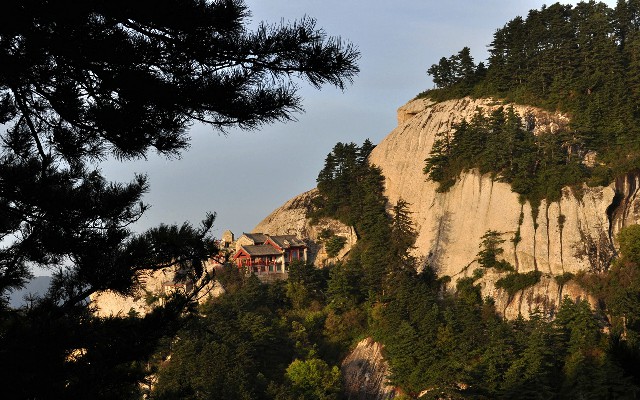 拼多多补单软件