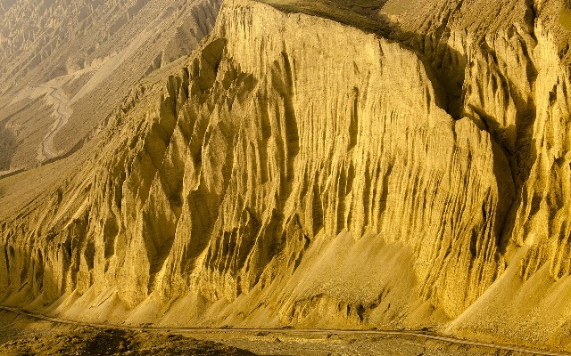 拼多多补单软件