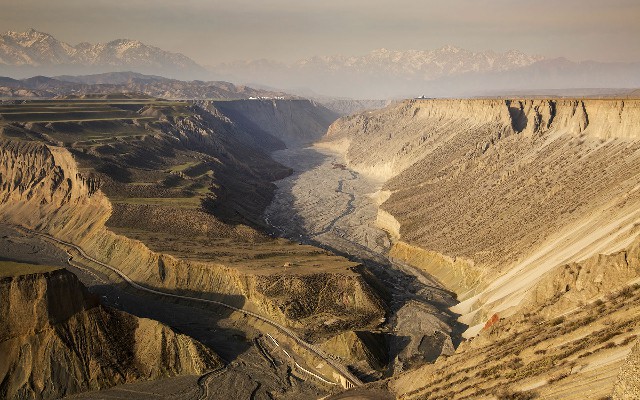 拼多多补单软件