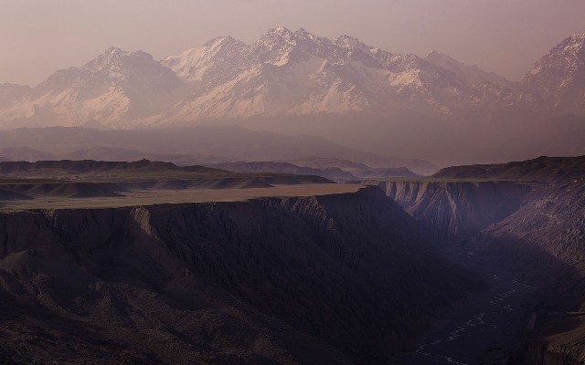 拼多多补单软件