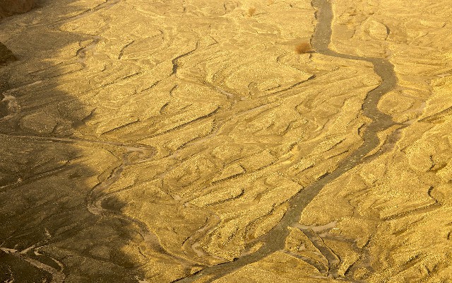 拼多多补单软件