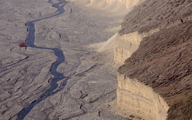 拼多多补单软件