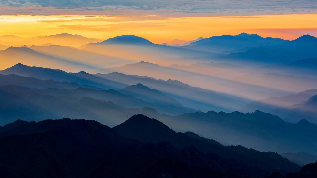 拼多多补单软件