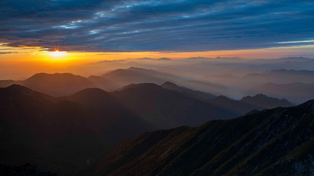 拼多多补单软件