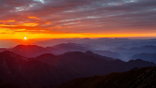 拼多多补单软件