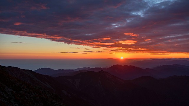 拼多多补单软件