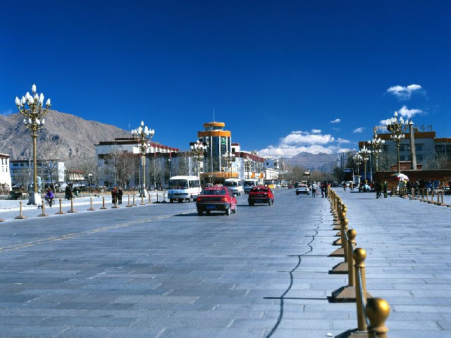 拼多多补单软件