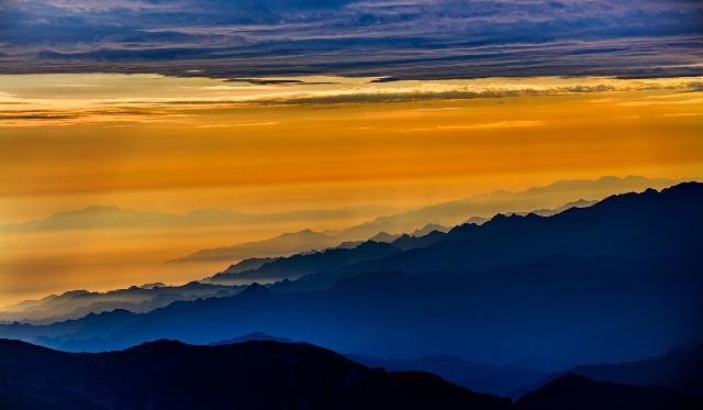 拼多多补单软件