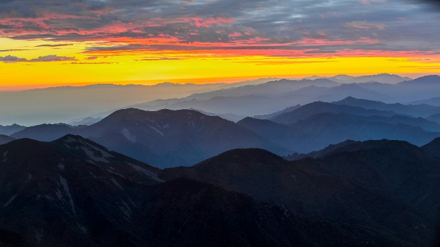 拼多多补单软件