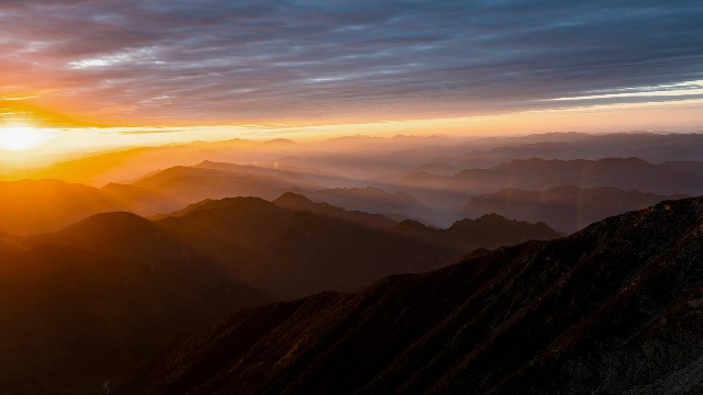 拼多多补单软件