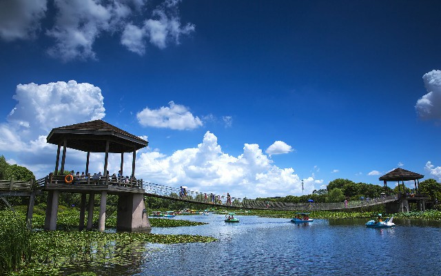 拼多多补单软件