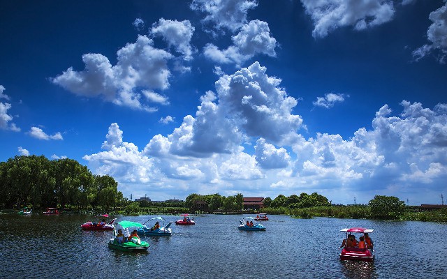 拼多多补单软件