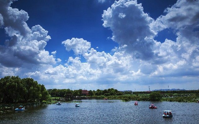 拼多多补单软件