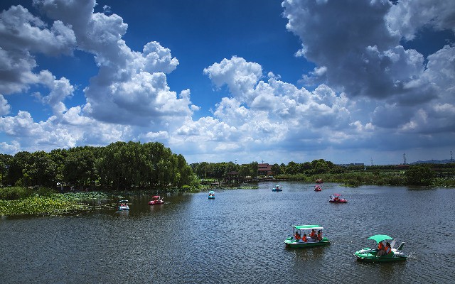 拼多多补单软件