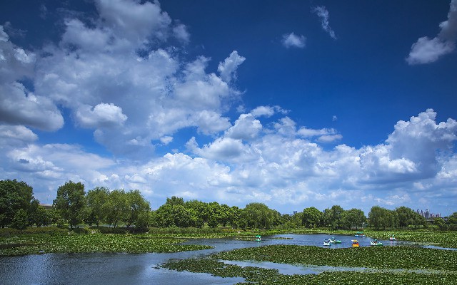 拼多多补单软件