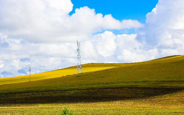 拼多多补单软件