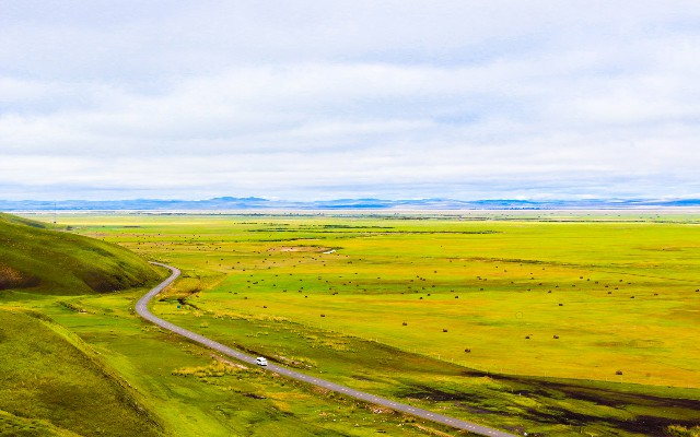 拼多多补单软件