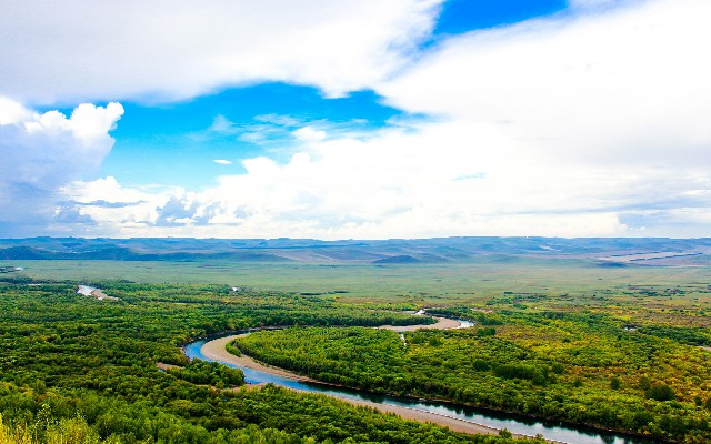 拼多多补单软件