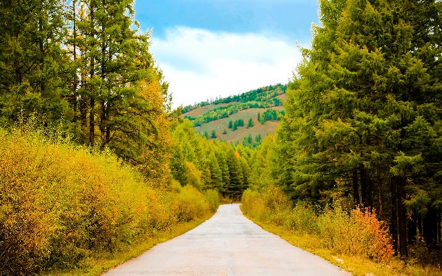 拼多多补单软件