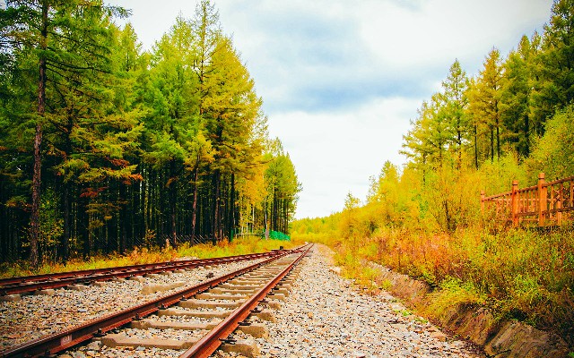 拼多多补单软件