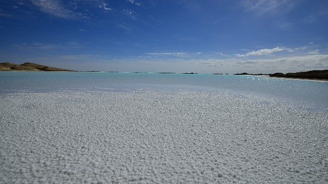 拼多多补单软件