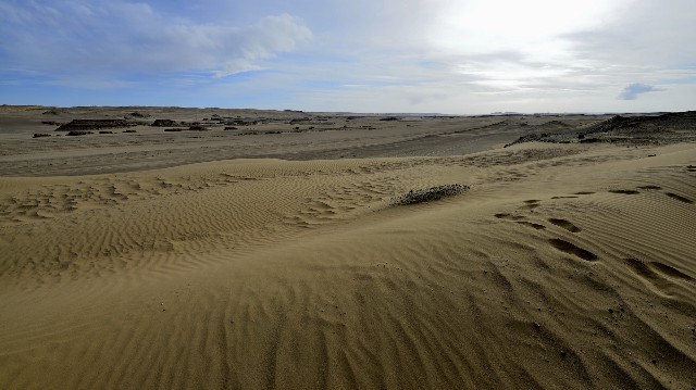 拼多多补单软件