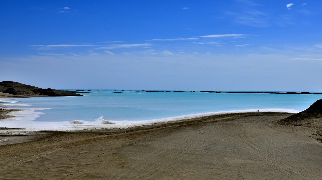 拼多多补单软件