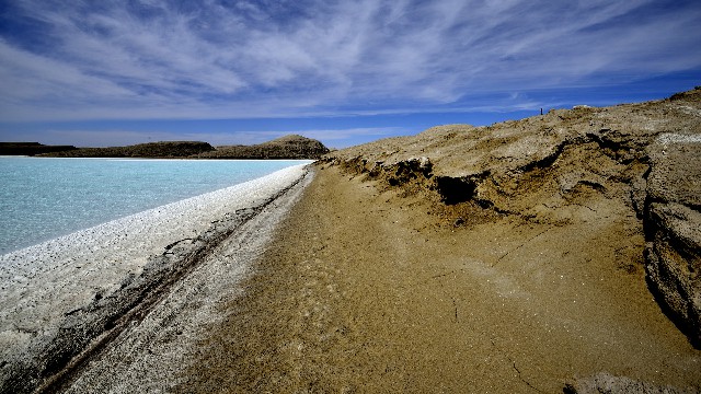 拼多多补单软件