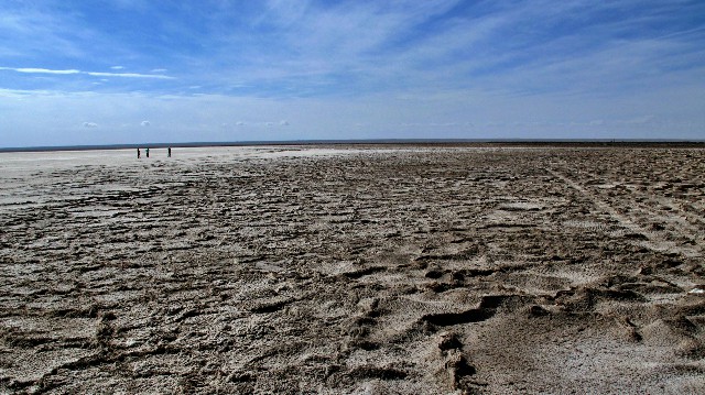 拼多多补单软件