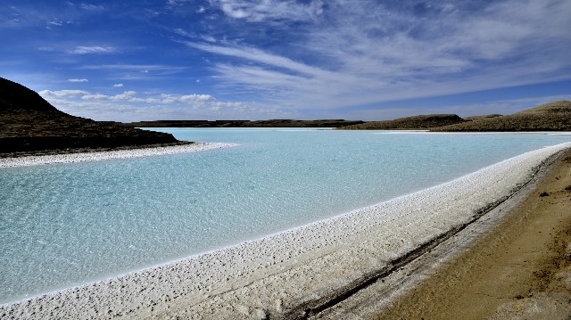 拼多多补单软件