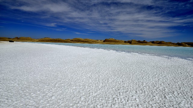 拼多多补单软件