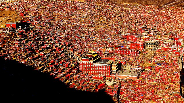 拼多多补单软件