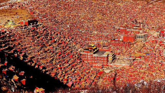 拼多多补单软件