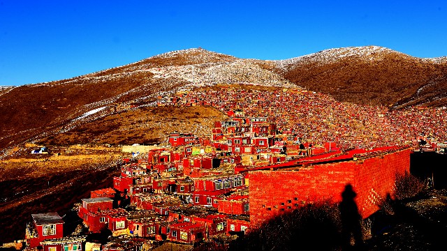 拼多多补单软件