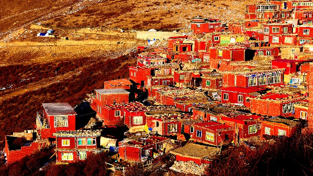 拼多多补单软件