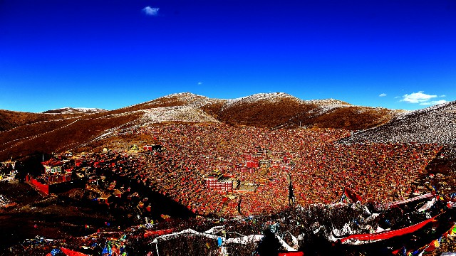 拼多多补单软件