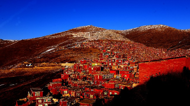 拼多多补单软件