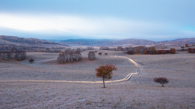 拼多多补单软件