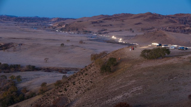 拼多多补单软件
