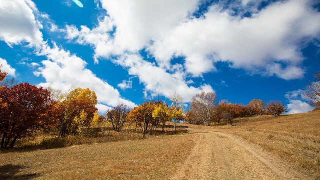 拼多多补单软件