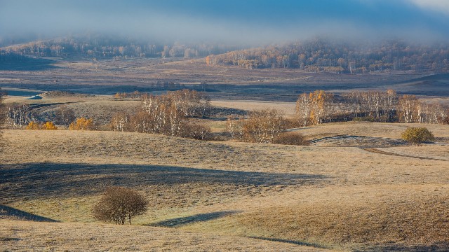 拼多多补单软件